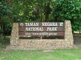 Taman negara has an elevation of 247 metres. Taman Negara Has Reopened Cyber Rt