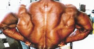 The exercise involves making slight elevations of the trunk, targeting the lats. 3 Exercises That Will Give You Wide Ass Lats Generation Iron