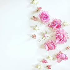 see this instagram photo by rosie pic 03 163 likes floral art flower backgrounds girly pictures