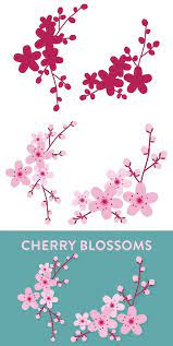 Vector Cherry Blossom Flowers Cherry Blossom Flowers Flower Graphic Design Cherry Blossoms Illustration