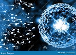 Sperm and Egg 3D Illustration Stock Illustration - Illustration of  genetics, micro: 174496201
