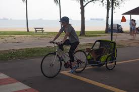 A Bikeable City State Singapore Gears Up Bike Auckland