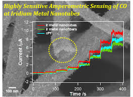 Your home's carbon monoxide detector can save your life and the lives of your loved ones. Nanomaterials Free Full Text Highly Catalytic Electrochemical Oxidation Of Carbon Monoxide On Iridium Nanotubes Amperometric Sensing Of Carbon Monoxide