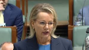 Failed us at every level': Parents claim systemic failures at NSW hospital  to blame for toddler's 'cruel' death