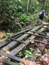 This area contains the orang asli settlement and recreational forest of bukit lagong. Wikiloc Bukit Lagong Trail