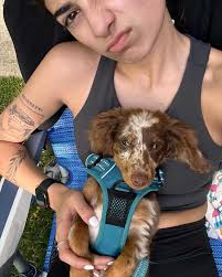 abby mei (@itsyagirl_abbymei) • Instagram photos and videos