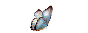 I need to add transparency to the png that i'm using as background. Html5 Photo Slider Transparent Png Images Fade Demo