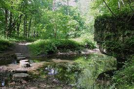White pines forest state park in mount morris is rated 6.5 of 10 at campground reviews. White Pines State Park Oregon Illinois