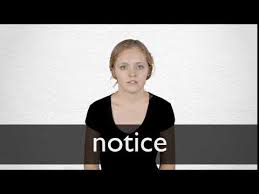 French Translation Of Notice Collins English French Dictionary