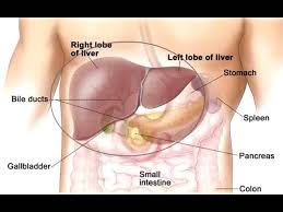 The earliest symptoms of breast cancer are easier to feel than see. à®• à®ª à®• à®Ÿ à®™ à®• à®•à®² à®² à®°à®² à®ª à®± à®± à®¨ à®¯ à®µà®° à®¤ à®® Drinking Coffee Cuts Liver Cancer Risk Tamil Oneindia