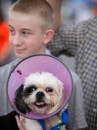 Samantha Faber's Instagram, Twitter & Facebook