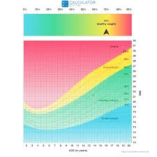 The body mass index is based on a simple mathematical formula: Bmi Calculator Find Body Mass Index For Women Men Kids Teen