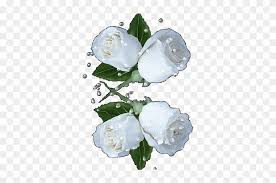 On mobile and touchscreens, press down on the gif for a couple of seconds and the save option will appear. Blog Polzovatelya White Flower Animated Gif Free Transparent Png Clipart Images Download