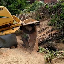 Profile for Fred Zakrajsek's Stump Removal