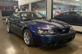 Image result for Blue Royal 1986 UMM