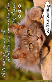 #lustig #status #zitate #sprüche #spruch #gruß. Weltkatzentag