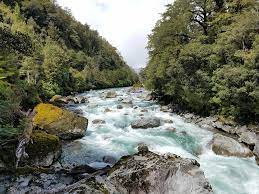 Jun 13, 2011 · • according to the stream order classification, a waterway that is between sixth order and twelfth order is considered a river. Difference Between A Stream And A Brook Compare The Difference Between Similar Terms