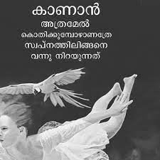 20 social distancing quotes to caption your next instagram post. Pin By Biji Alex On Love Good Thoughts Quotes Distance Love Quotes Love Quotes Malayalam