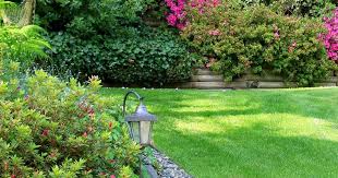 Bee friendly plants for shaded areas. Good Plants For Shaded Areas Of Garden Love The Garden
