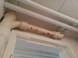 Image result for site:byggahus.se stammar