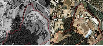 This is a category with photos about a protected or outstanding tree in catalonia, spain, with id L Entesa Denuncia Presumptes Irregularitats A Ca N Alzina El Diari Digital De Sabadell Isabadell