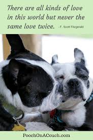 Every New Dog You Foster Is A New Relationship A New Kind Of Love Rescue Dog Quotes Dog Quotes Dogs