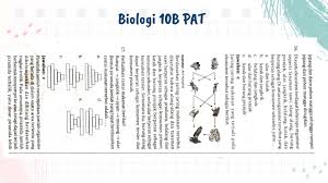 Download buku intan pariwara biologi kelas 11 pdf. Kunci Jawaban Pr Intan Pariwara Matematika Peminatan 11 Bab 2 Lingkaran Youtube