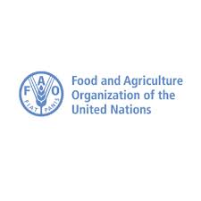Our actions are our future. Food And Agriculture Organization Of The United Nations Fao Global Alliance For Improved Nutrition Gain