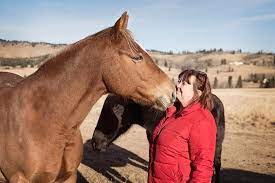 Pin Auf How Horses Help