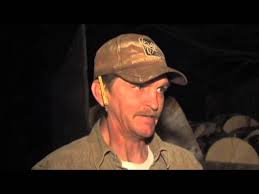 DEC puts down deer in Cambridge