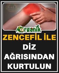 Diz Agrisi Nasil Gecer Care Zencefil 2020 Saglik Saglik Ve Fitness Dogal Saglik
