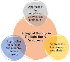 Biological Drugs In Guillain Barre Syndrome An Update Bentham Science