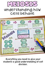 Bioflix Activity Mitosis The Cell Cycle Meiosis Cell Division Nonfiction Reading And Sketch Note Activity In 2020 Biology Lessons Study Biology Teaching Biology