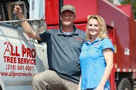 Let the experts trim your trees and shrubs. All Pro Tree Service Llc