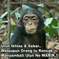  Dp Bbm Monyet Bahasa Banjar Banjarmasin Luc Cartoon Jokes Gambar Lucu Lucu