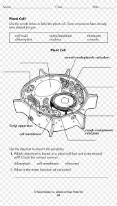 Plant cells have rigid outer cell walls outside cell membranes, while animal cells have only cell membranes around the outer perimeter. Blank Plant Cell Worksheet Form Fillable Pdf Template Circle Clipart 3382487 Pikpng