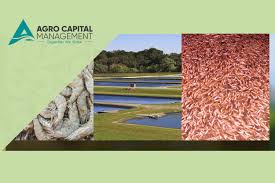 Investments, exits, lead partners, lps and fund performance. Investment Management System Case Study Second Crm