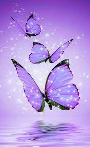 Purple butterfly wallpaper for phone. Pin By Jennifer Osborne On I Love Purple Blue Butterfly Wallpaper Butterfly Wallpapers Butterfly Wallpaper Backgrounds