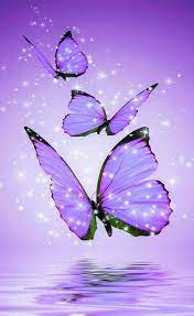 We did not find results for: Pin By Jennifer Osborne On I Love Purple Blue Butterfly Wallpaper Butterfly Wallpaper Iphone Butterfly Wallpaper Backgrounds