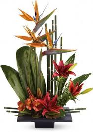 Valid and verified beneva flowers deal, updated today: Pin On Melody Of Flowers