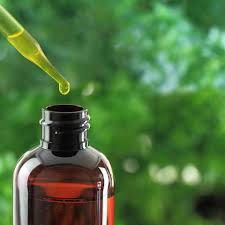 驚くべき健康効果 日本にある あの馴染みの植物 が超万能 Tabizine 人生に旅心を