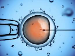 Für eine künstliche befruchtung stehen unterschiedliche verfahren zur verfügung. Wie Funktioniert Die Insemination Zuhause