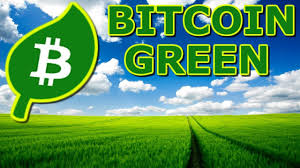 ICO Review - Bitcoin Green (BITG) - Environmental Cryptocurrency - YouTube