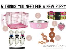 Five Things You Need For A New Puppy Irresistible Pets New Puppy Puppy Cage Maltipoo Puppy