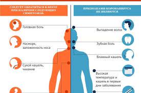Вот главные симптомы заражения коронавирусом в порядке их проявления. Chto Za Novye Dopolnitelnye Simptomy Koronavirusa Obnaruzhili Uchenye