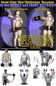 Middle Front Deltoids Deltoids Workout Guide Workout Programs