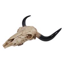 Amazon com near and deer faux cow skull decorative southwestern. Resin Artificial Cow Skull Realistic Wall Hanging Cruelty Free Decor