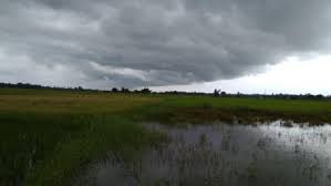 Bukan hanya gambar alam pedesaan saja, tetapi juga keindahan gunung, alam. Sawah Petani Di Maros Terendam Banjir Petambak Ikan Khawatir Kolam Meluap Bagian 1