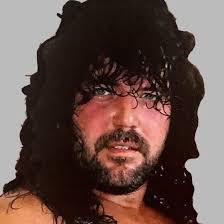 Heroes of World Class: The Story of the Von Erichs and the Rise and Fall of  World Class Championship Wrestling (2006)