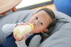 Result Page 512 for Latest Life News & Archive